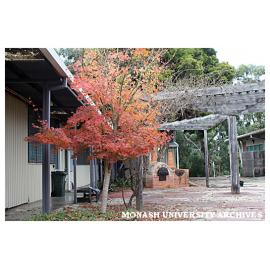 Courtyard outside Art & Design, Gippsland campus