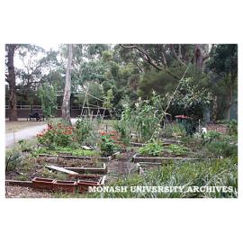 Permaculture garden, Clayton campus