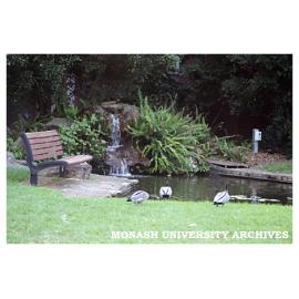 Pond in Vera Moore garden, Clayton campus