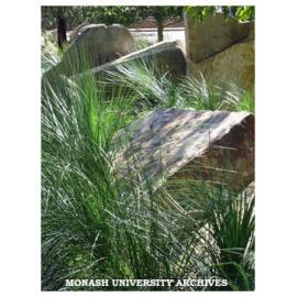 Earth Sciences Garden, Clayton campus