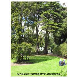 Lawns off Rainforest Walk, Clayton campus