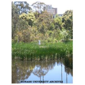 Jock Marshall Reserve, Clayton campus