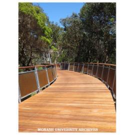 Jock Marshall board walk, Clayton campus