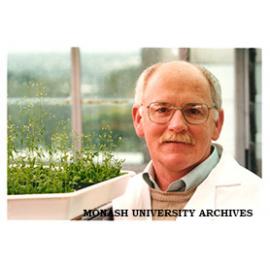 Professor David Smyth