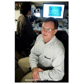 Professor Iain Clarke, Department of Physiology