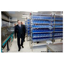Victorian Innovation Minister Gavin Jennings touring the zebra fish research facility located within the Australian Regenerative Medicine Institute