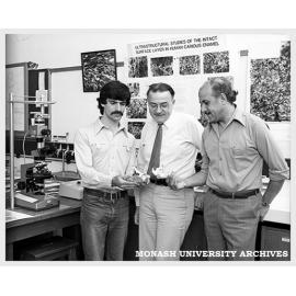 Dr Joe Palamara (left) Professor Bill Rachinger and Dr Prem Phakey examine a wombat skull.
