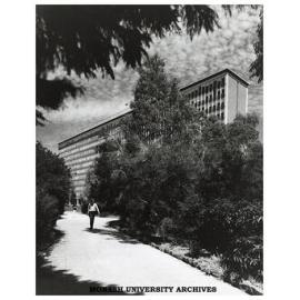 Path east towards Menzies building