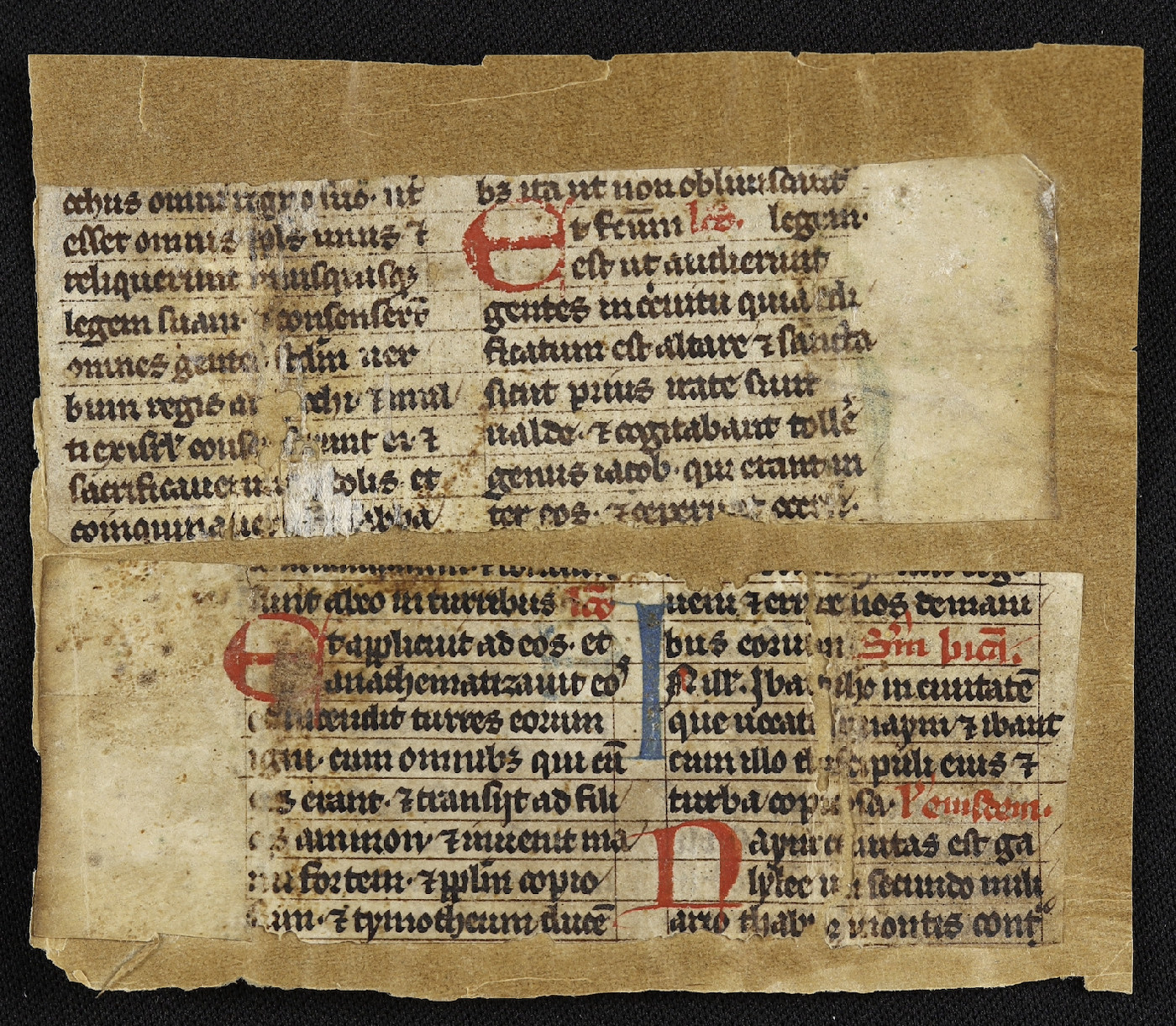 Bischoff Fragment Collection