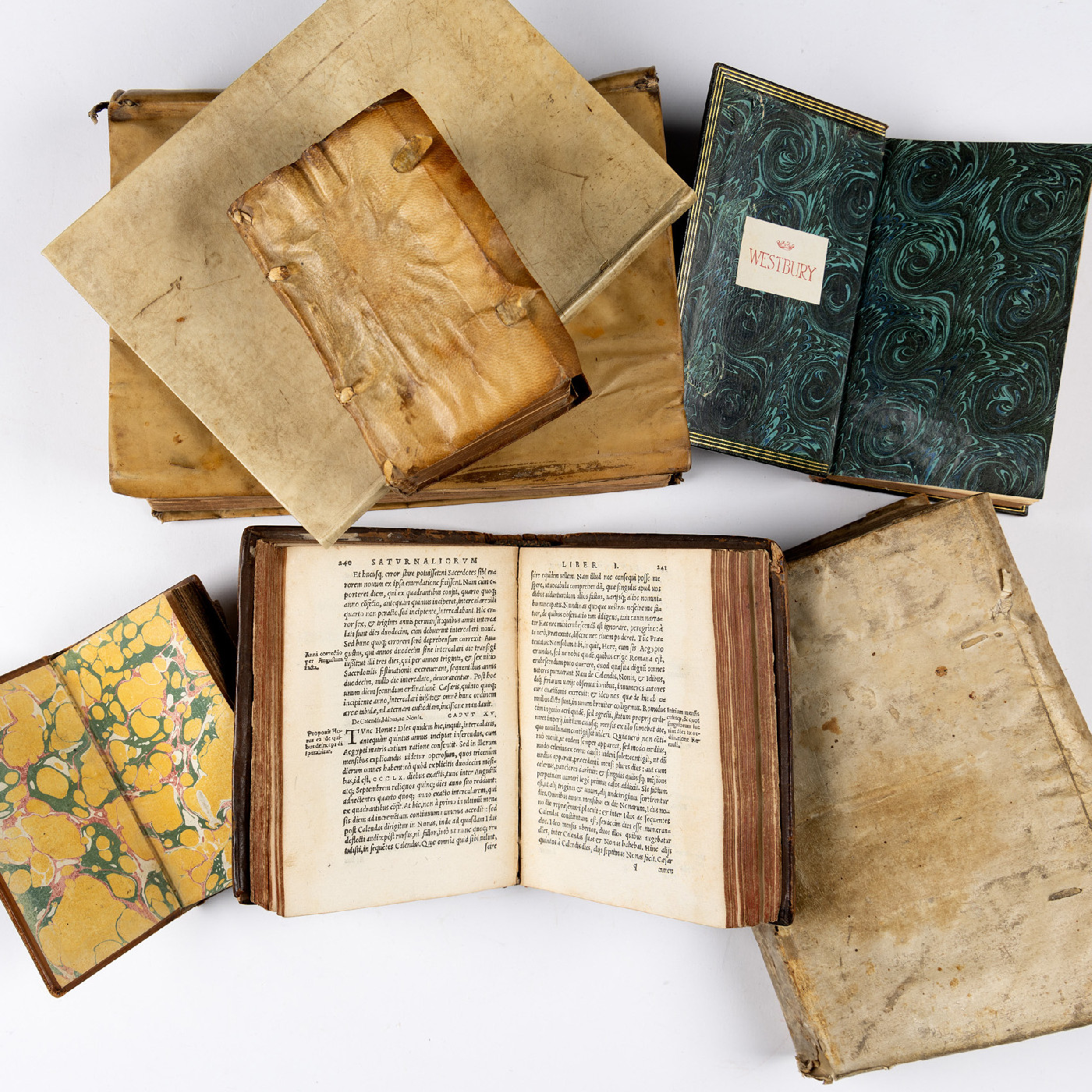 A spread of pre-1800 volumes showcasing Macrobius’ In Somnium Scipionis Libri II (Lyon: Sebastianus Gryphius, 1538), open to pages 140–141. Containing Macrobius’ influential commentary on Cicero's Dream of Scipio, this 16th-century work illustrates the fine craftsmanship, woodcut diagrams, and rich provenance—including 16th-century owner marginalia—characteristic of Monash University Library's early print holdings.